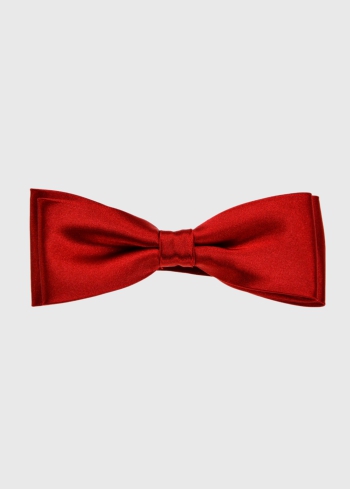 Sarkans vīriešu tauriņš - back