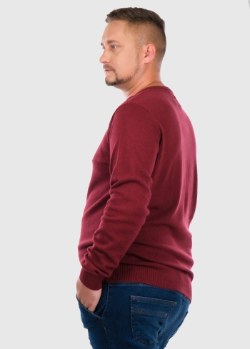 Ettore Lielo izmēru bordo džemperis ar apļveida izgriezumu - back