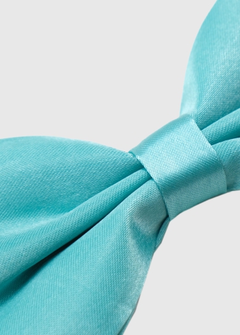 Gaiši zils tauriņš - back