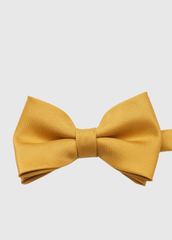 Tumši dzeltens vīriešu tauriņš - back