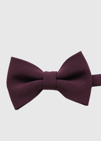 Bordo vīriešu tauriņš - back