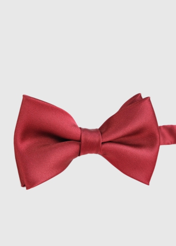 Sarkans vīriešu tauriņš - back