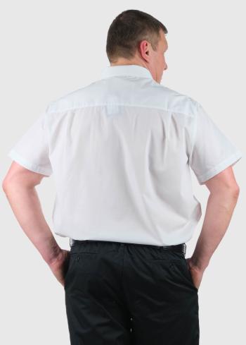 Modesto Lielo izmēru balts krekls - back