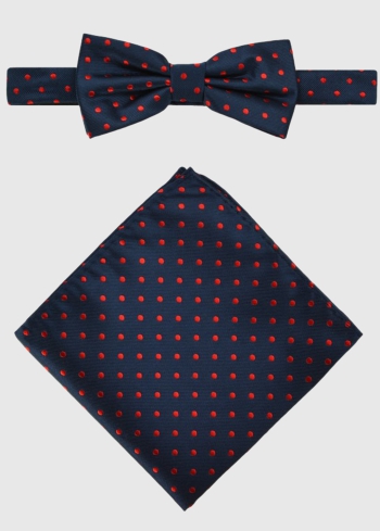 Pumpains tauriņš ar lakatiņš - back