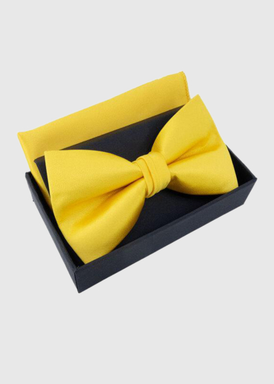 Ansat yellow bow tie and handkerchief