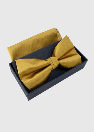 Ansat yellow bow tie and handkerchief