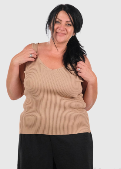 Ayush beige top V-neck