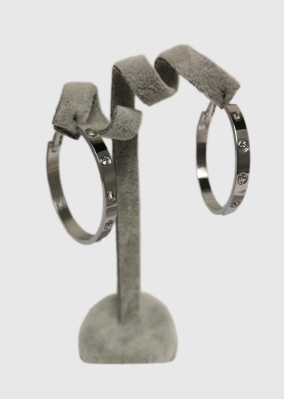 Claudia silver-colored earrings rings