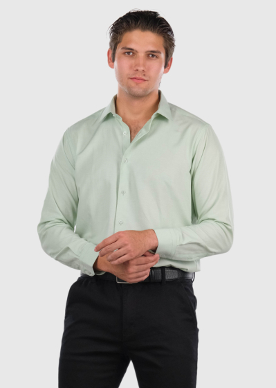 Ferris Regular Fit light green mens shirt