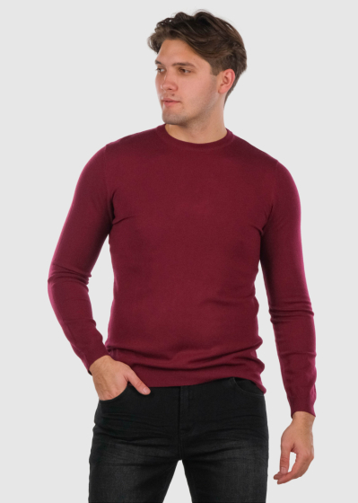 Samuele bordo men's sweater