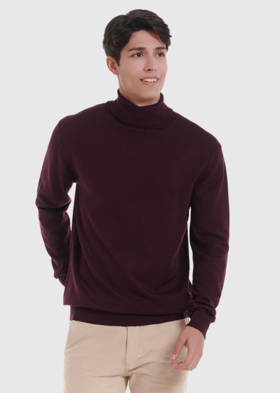 Laurentiu bordo men's turtleneck