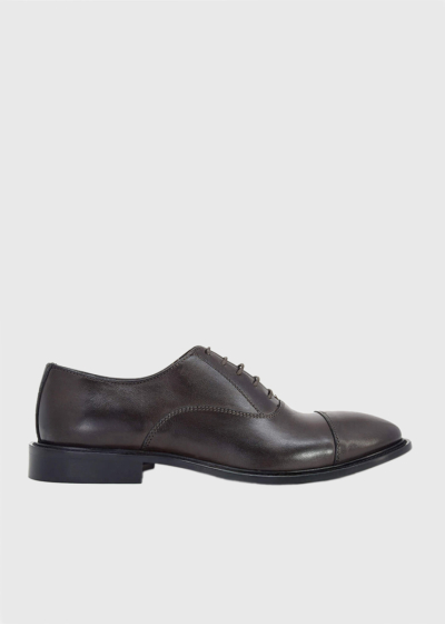 Dark brown leather shoes