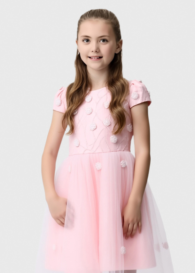 Lesta pink dress with embellished upper