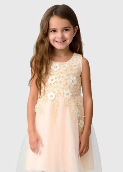 Keito beige dress with embellished upper