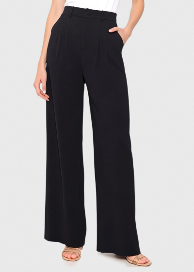 Dorlisa black wide leg pants