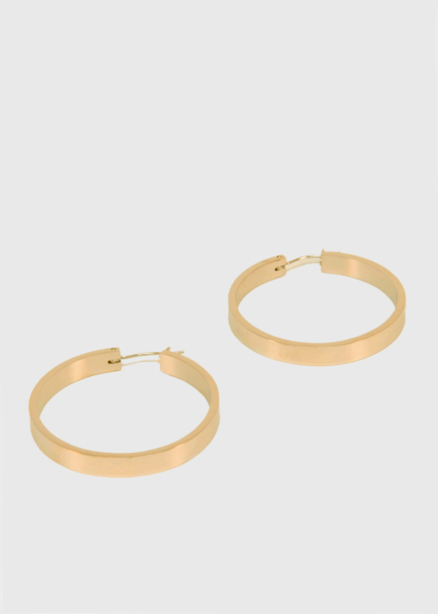 Tarana gold-colored earrings