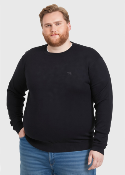 Manuel Plus Size black  men's sweater