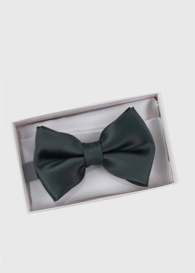 Men's bow tie