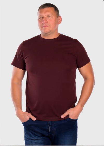 Cecilio Plus Size Simple dark brown men's t-shirt