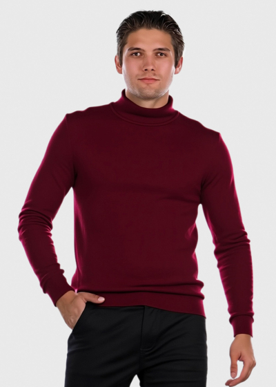 Sergio bordo men's turtleneck