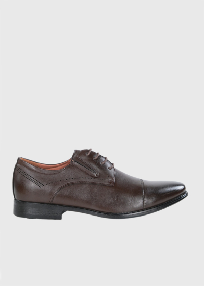 Eldan dark brown lace-up shoes