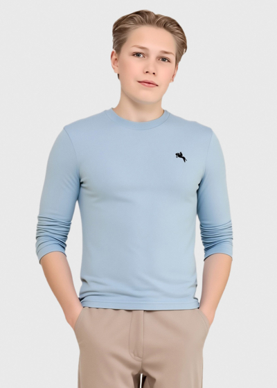 Aike light blue sweater with round neck