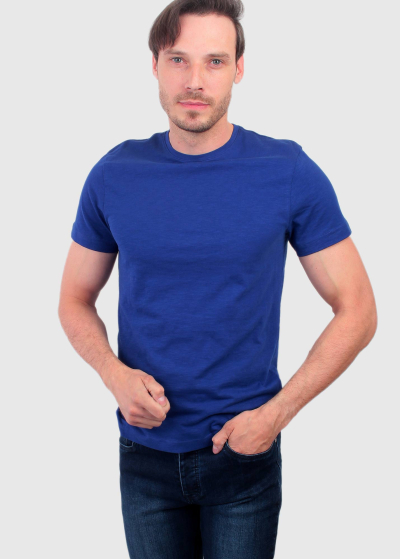 Nicola Plus Size blue organic cotton men's t-shirt