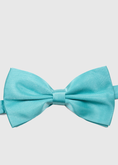 Light blue bow tie
